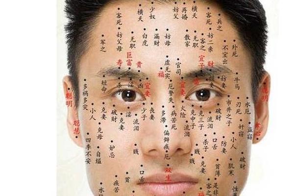 男相头上痣图解大全—男孩面部痣相图解大全 男相头上痣图解大全—男孩面部痣相图解大全