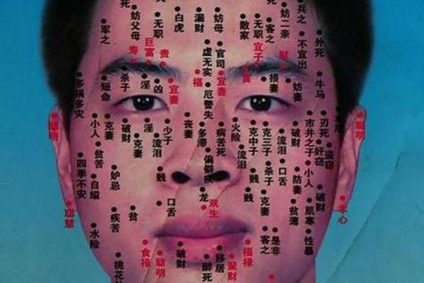 名人痣相大全-面相痣的图片大全