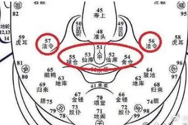 靠山硬的痣相—靠山痣是什么意思