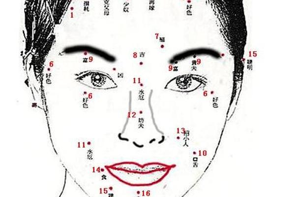 麻衣神相痣图解女;痣相图解大全 女 麻衣神相痣图解女;痣相图解大全 女