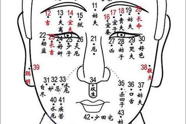 人体上痣的相法图解男士 人体痣相图解大全男人