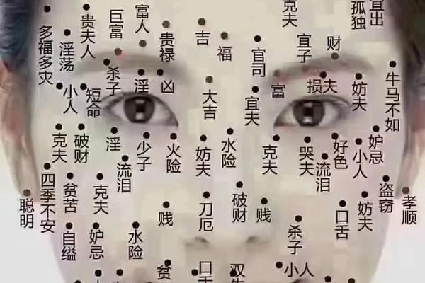 痣相卦解;三十二卦全解