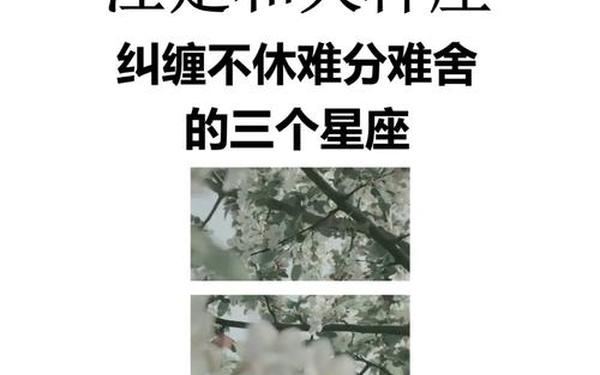 摩羯座女生最吃哪一套天秤座男生_摩羯女眼中的天秤男 摩羯座女生最吃哪一套天秤座男生_摩羯女眼中的天秤男