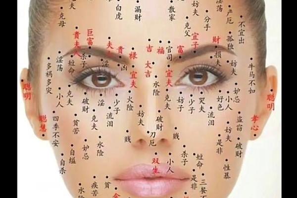 女人的面相痣相解析图;女性脸上的痣图片及全解左右