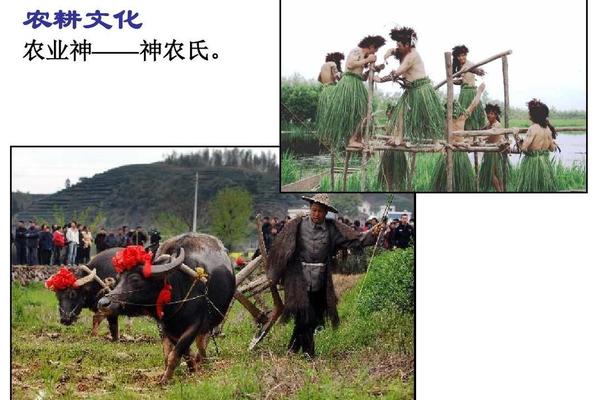 农耕文化的三大要素-农耕文化的特点有哪些