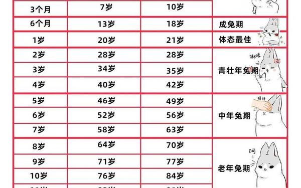 属兔的有多大年龄 属兔的有多大年龄