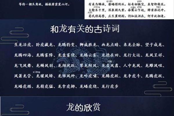 龙文化有哪些;龙文化简介