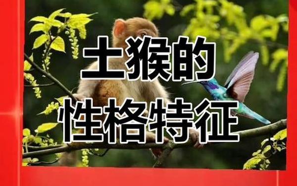 属猴的人的个性和脾气_属猴人是什么性格 属猴的人的个性和脾气_属猴人是什么性格