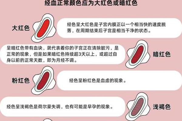 月经八字
