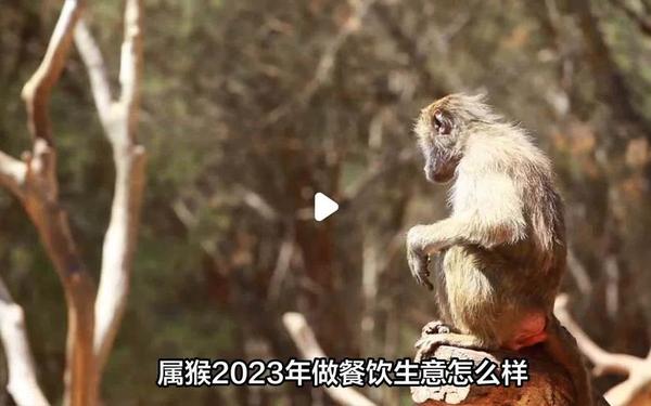 92年属猴有劫难吗 1992属猴适合做什么生意 92年属猴有劫难吗 1992属猴适合做什么生意