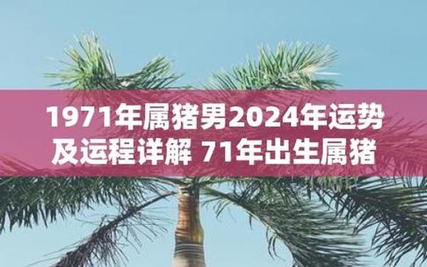 属猪的出生哪年(71年属猪49岁命运) 属猪的出生哪年(71年属猪49岁命运)