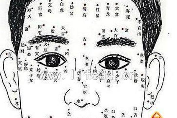 男人当官痣相-男人耳朵痣相图解大全 男人当官痣相-男人耳朵痣相图解大全