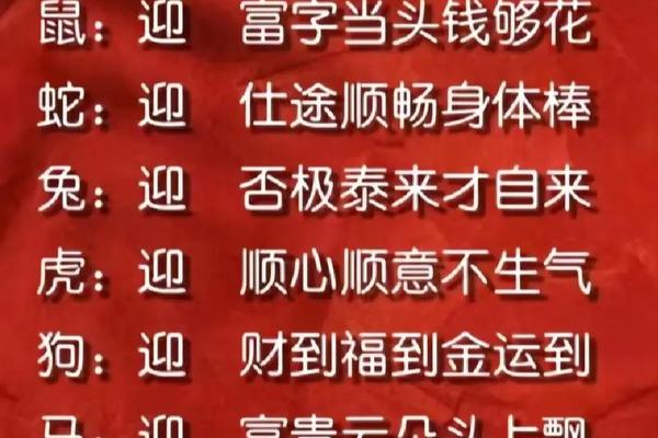 八字张开是什么生肖