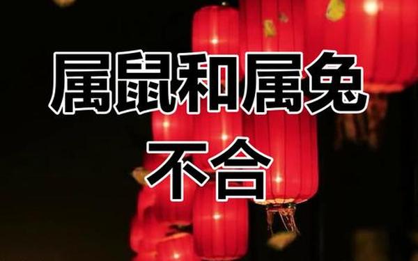 属鼠男跟属兔女合适做夫妻吗-87兔跟72鼠一起会旺吗 属鼠男跟属兔女合适做夫妻吗-87兔跟72鼠一起会旺吗