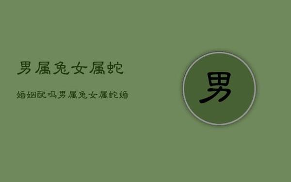 属兔跟属蛇的婚配怎么样 属兔跟属蛇的婚配怎么样