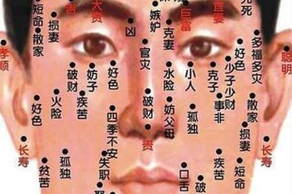 麻衣相法面部痣、男人面部有痣图解