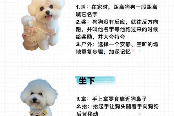 狗猜姓名