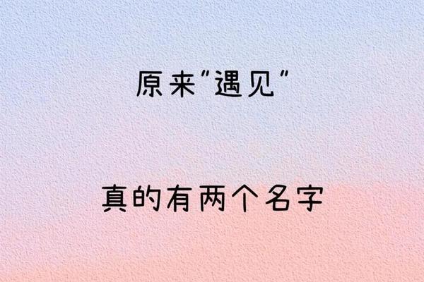 姓名与缘分免费