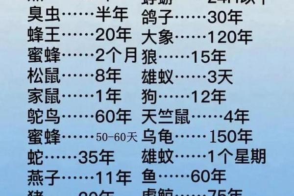 动物的八字