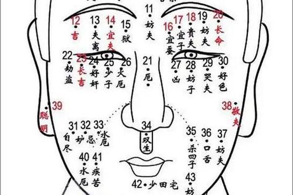 人中附近痣相-人中附近突然长了痣 人中附近痣相-人中附近突然长了痣