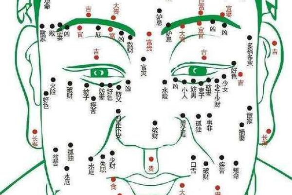 痣相大全全文;男人身上痣相大全图解