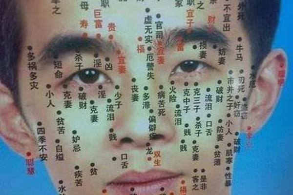 关于痣相的案例-面部长痣全部图