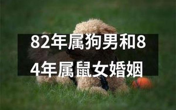 1982年属狗女的最佳婚配 1982年属狗女的最佳婚配