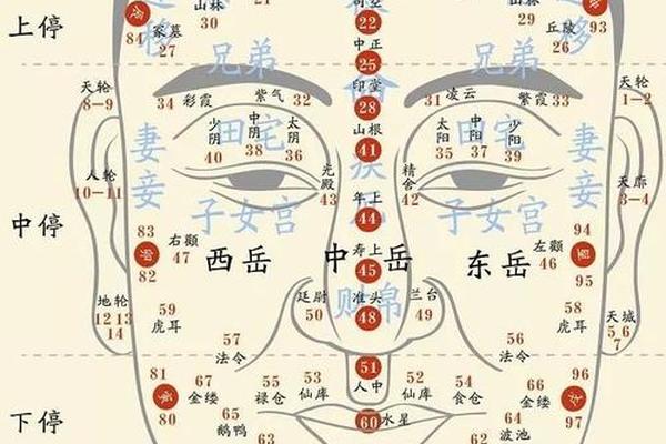 麻衣神相龟尾痣图片(龟尾准确位置图和作用)