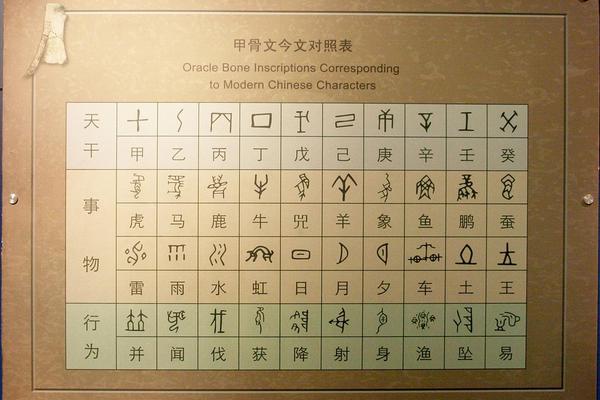 汉字文化学的具体内容—汉字文化的概念
