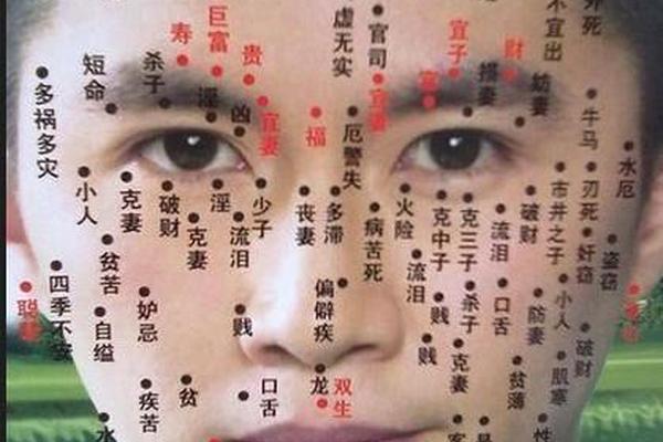 古代看痣相最厉害的人 男人全身痣相图解命运