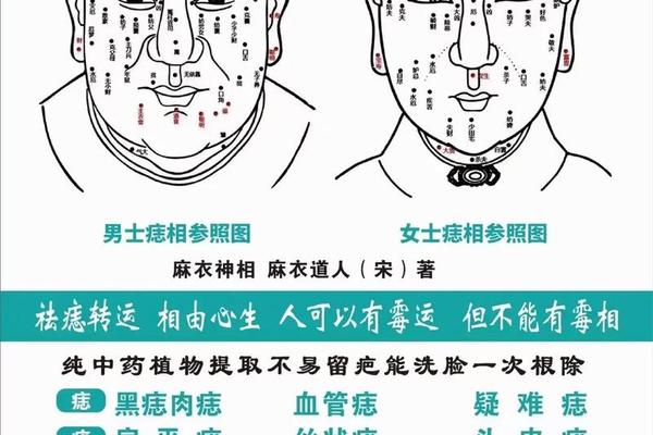 lt 轉載 gt 全身痣相大全—男全身痣相图解高清图