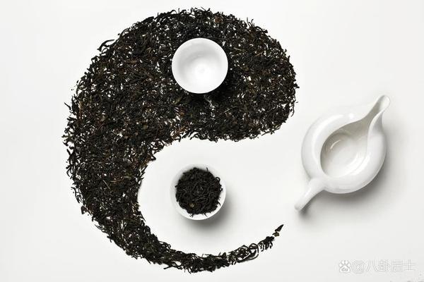 传统民族文化易经文化的特点;易经文化
