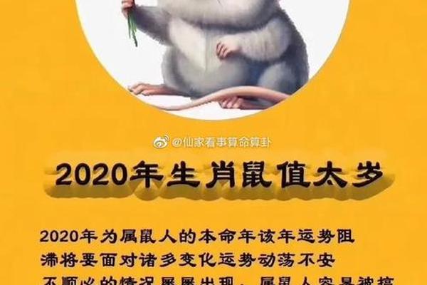 2020年属什么生肖鼠是什么命