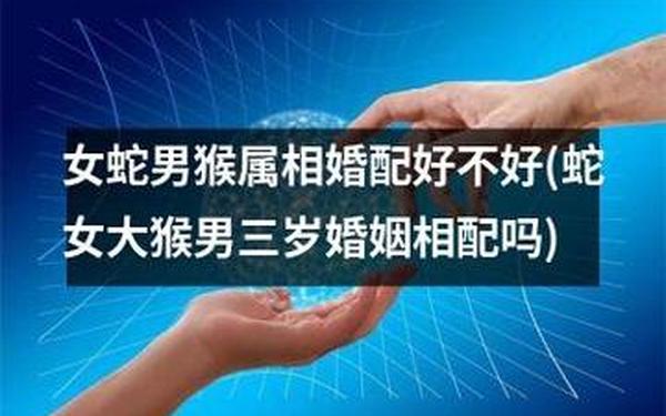 属猴的和属蛇的婚姻配吗(男蛇女猴在一起的后果) 属猴的和属蛇的婚姻配吗(男蛇女猴在一起的后果)