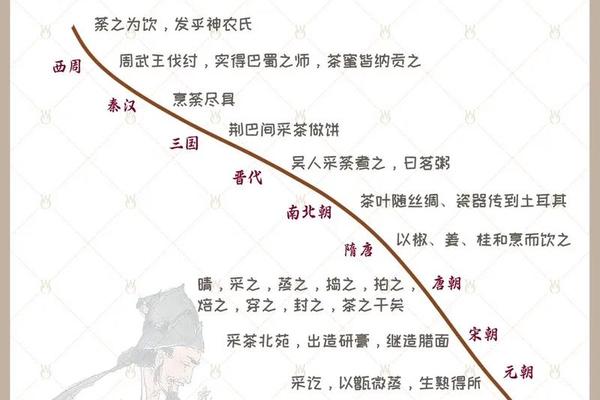 中国茶文化知识与介绍文字(茶叶历史文化简介)