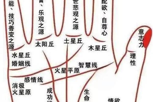 男人左手手指痣相—男人左手食指有痣图解