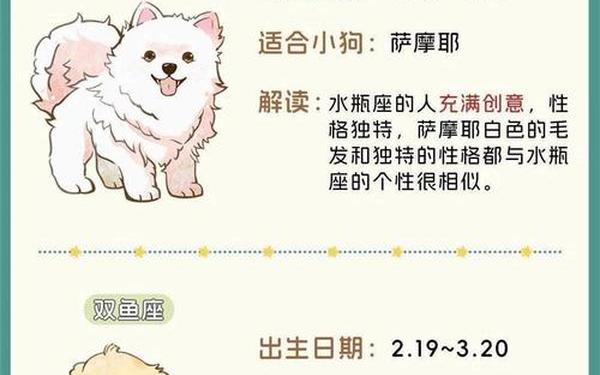 12星座专属宠物狗狗—水瓶座专属宠物