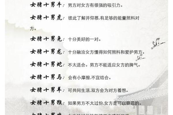 属鼠女和属猪男什么时候结婚好