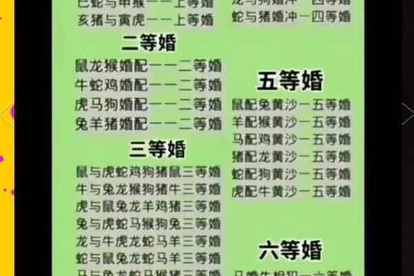 属鼠男配属兔女的婚姻好不好？