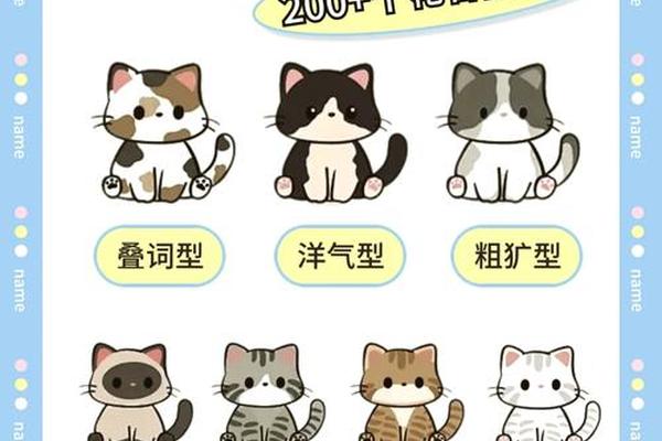 猫咪朱姓名
