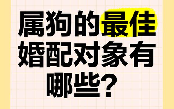 属狗男最佳婚配前十名属相 属狗男最佳婚配前十名属相