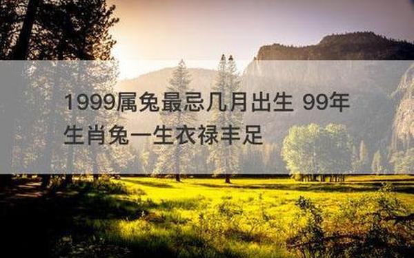 1999的兔是不是属土 1999的兔是不是属土