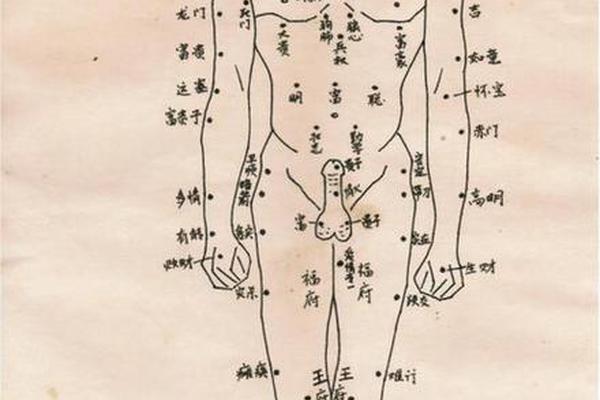 痣相屁股上长痣好不好—屁股长痣图解