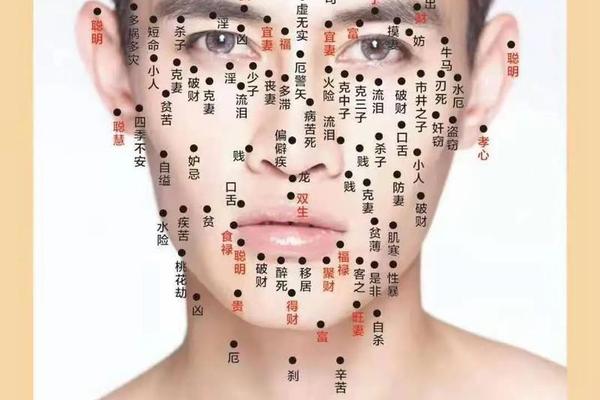 面部痣相有科学依据吗-男人面部痣相最准图