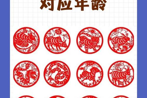 96年的女鼠和什么属相最合适