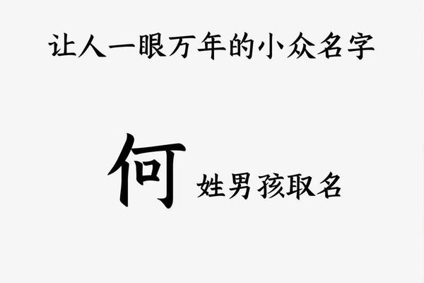 最好听的何姓名字