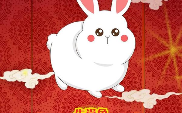 属兔2025虚岁多大 属兔2025虚岁多大