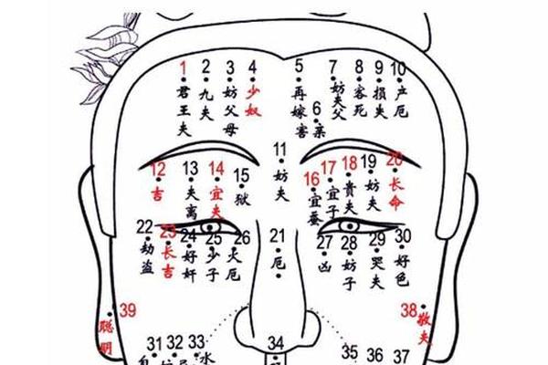 痣相长毛有讲究吗女生—女人痣相图解