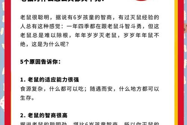 1996年4月23老鼠脾气不好吗