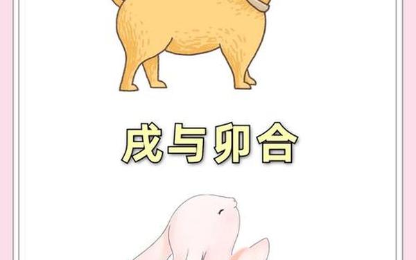 属狗与属兔合不合财 属狗与属兔合不合财
